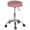 Nora Tufted Adjustable Backless Metal Vanity Stool Pink - Hillsdale Furniture -Ottomans Official Shop unnamed file 10373