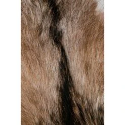 Durant Natural Hide Stool Brown - East At Main -Ottomans Official Shop unnamed file 252