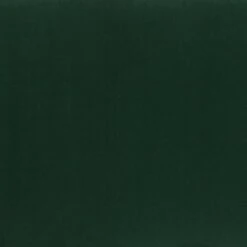 Danston Upholstered Storage Bench Green/Silver - Aiden Lane 16 Danston Upholstered Storage Bench Green/Silver - Aiden Lane -Ottomans Official Shop unnamed file 7193