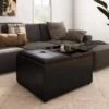 Franklin Small Coffee Table Storage Ottoman Tanners Brown - WyndenHall -Ottomans Official Shop unnamed file 9802